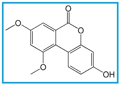 Urolithin M7 8,10-Di-O-Methyl